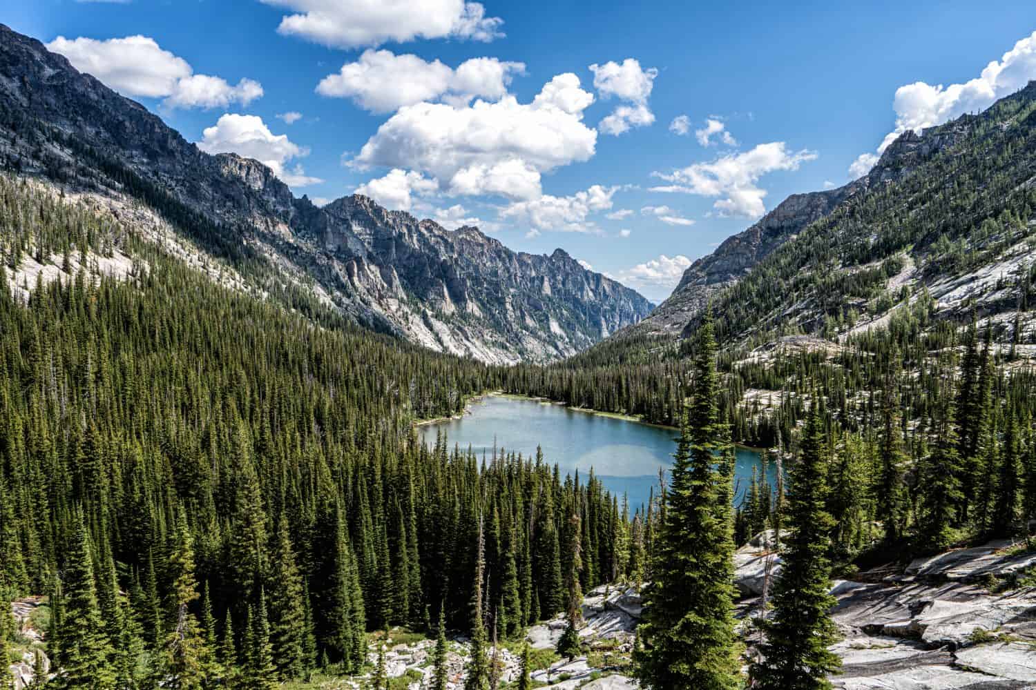 Gli 8 posti migliori per vedere la fauna selvatica nel Montana
