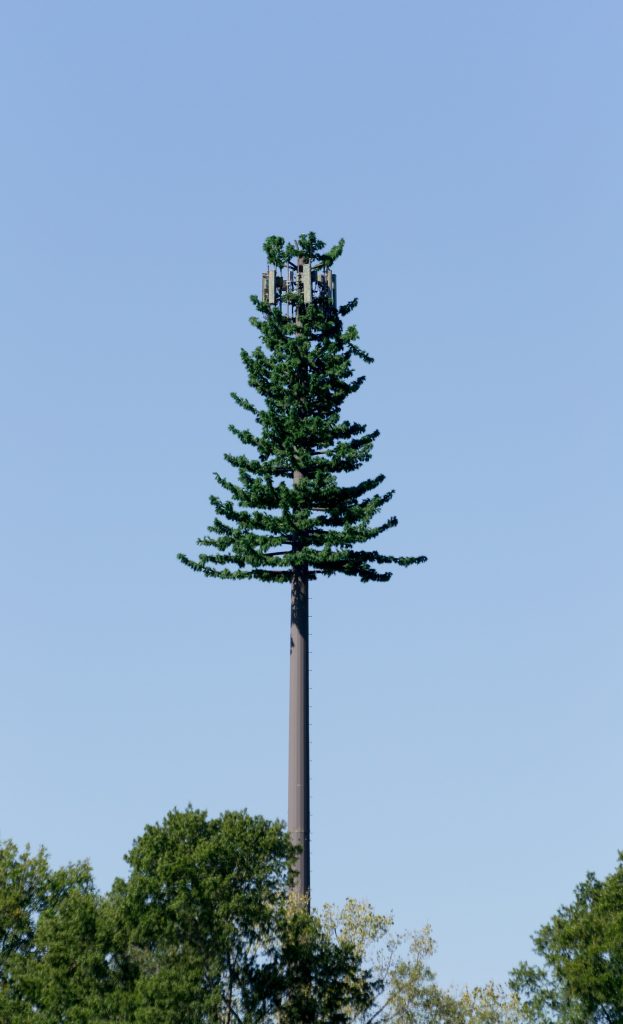 Le torri cellulari vengono camuffate da alberi per distrarre dai potenziali rischi per la salute e per renderle meno brutte.