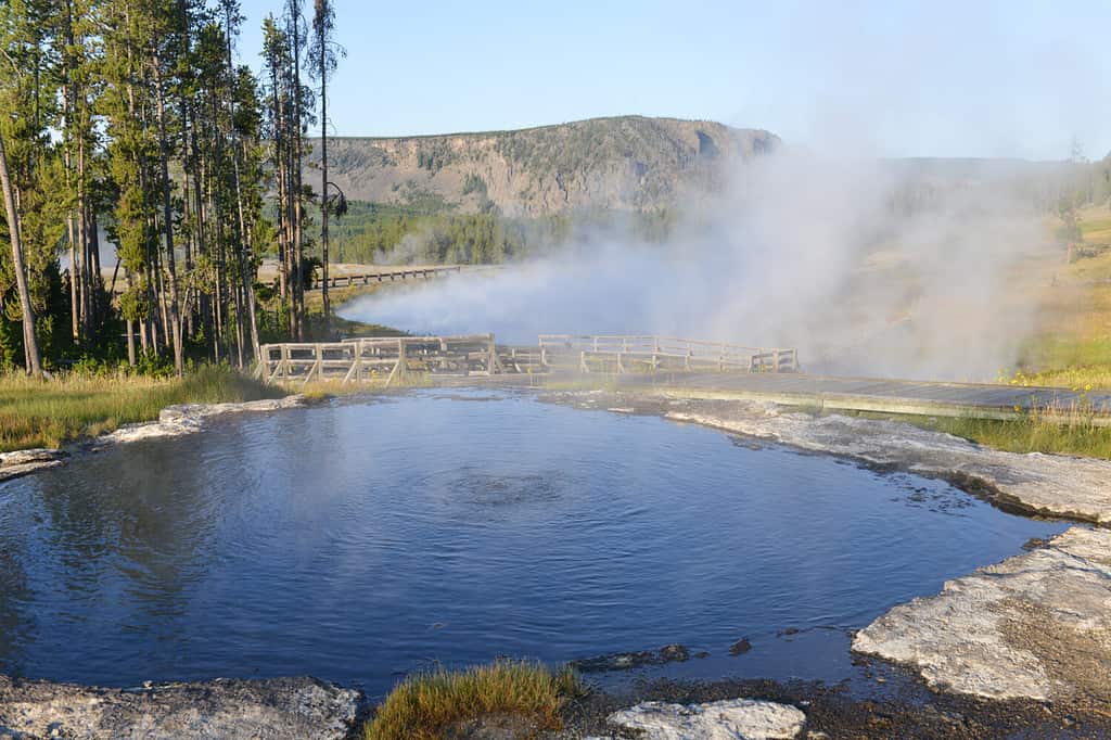 Parco Nazionale di Yellowstone - Sorgenti termali