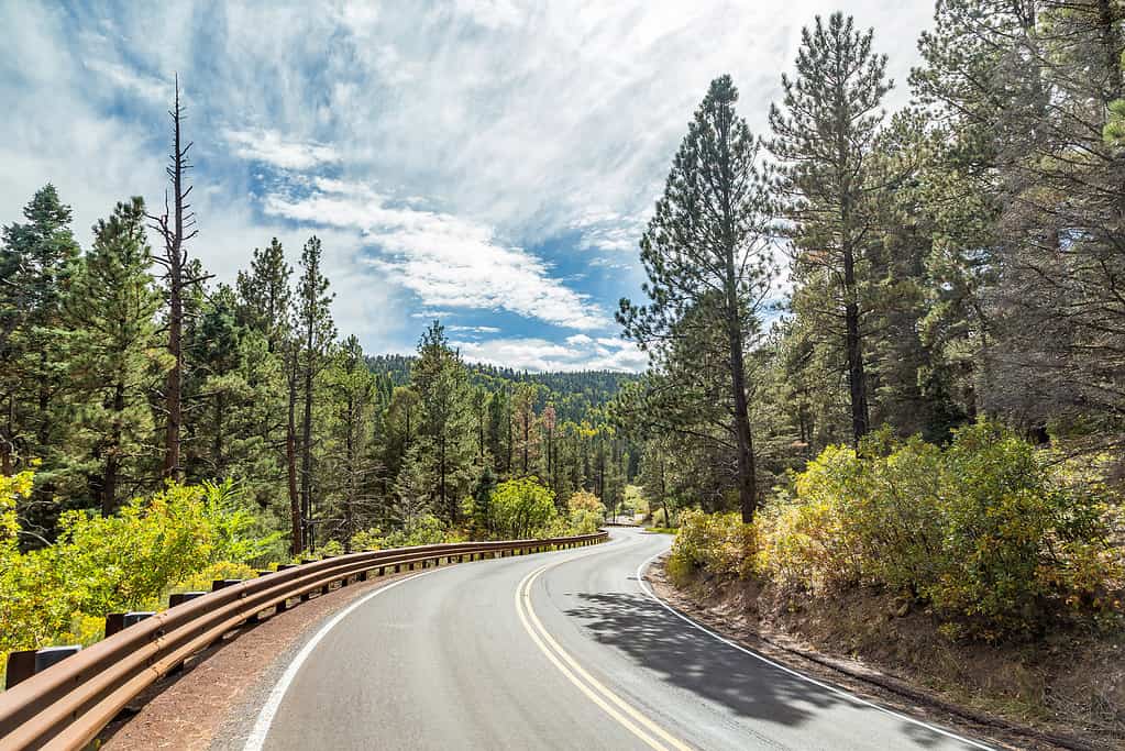 Il Cerchio Incantato