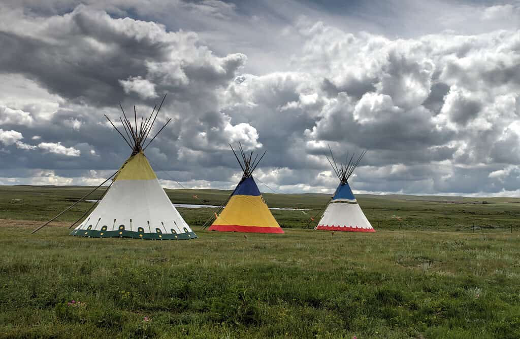 Al di fuori del Glacier National Park, Montana, USA