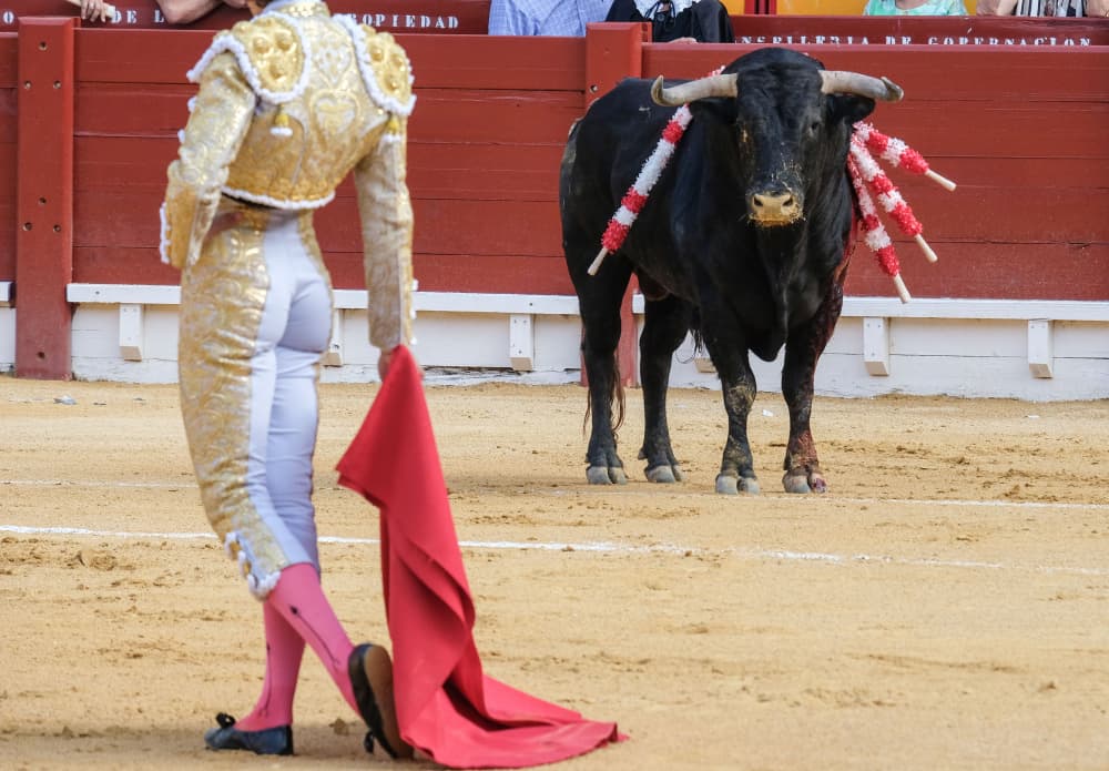 Corrida in Spagna.  Torero spagnolo nell'arena della corrida