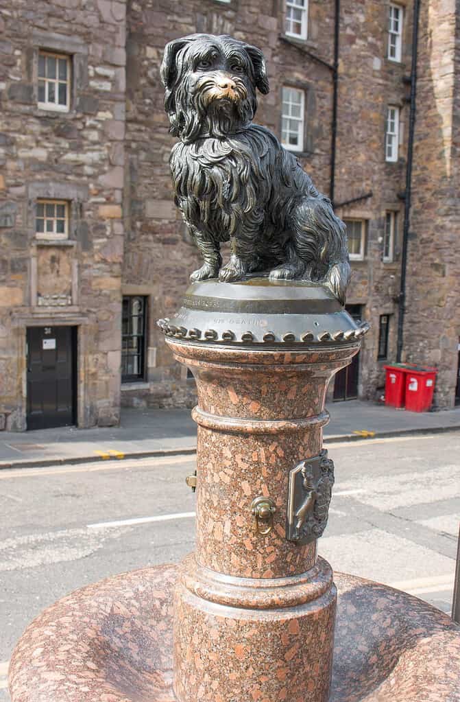 Greyfriars Bobby Fountain Memorial Edimburgo in Scozia