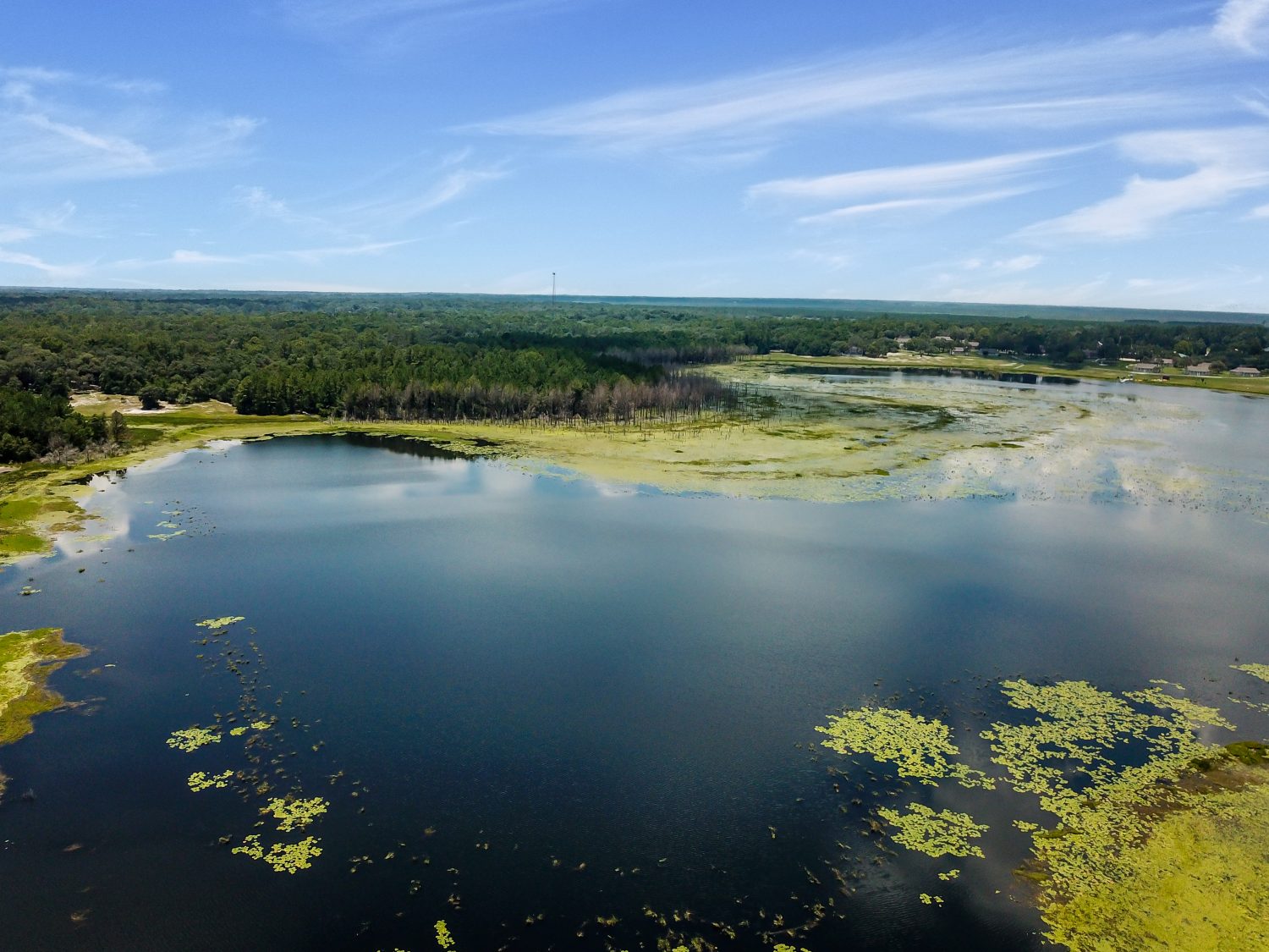Aerea. Lago a Keystone Heights Florida Volare un drone sul lago. Keystone Heights, Florida.