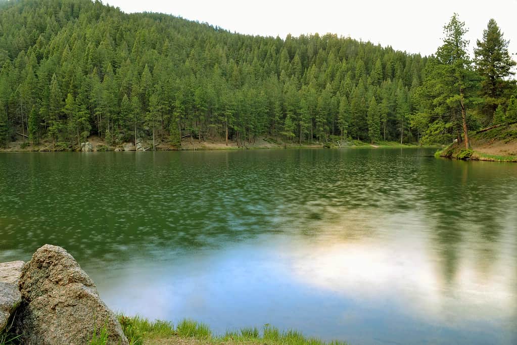 Lago Palmer
