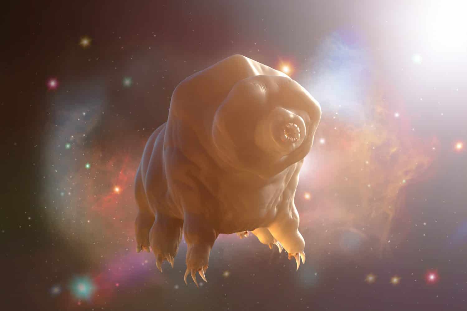 Tardigrada nel rendering 3D dello spazio