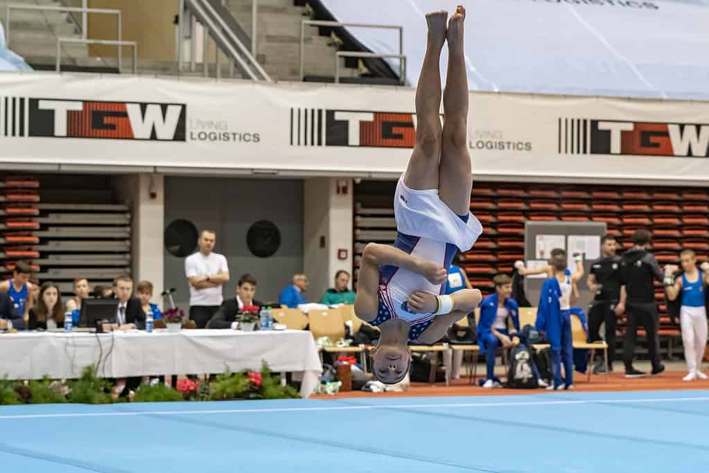 Ginnastica artistica