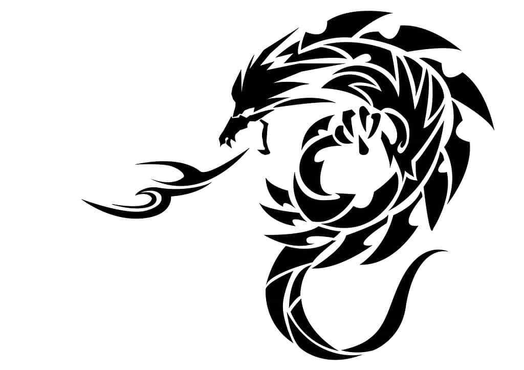 Drago tribale. Disegno del tatuaggio. Adesivo del drago. Drago tribale per tatuaggio.