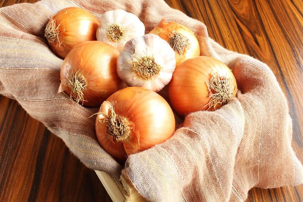 Cipolle e aglio. Bulbi e cipolle di aglio nella scatola di legno.