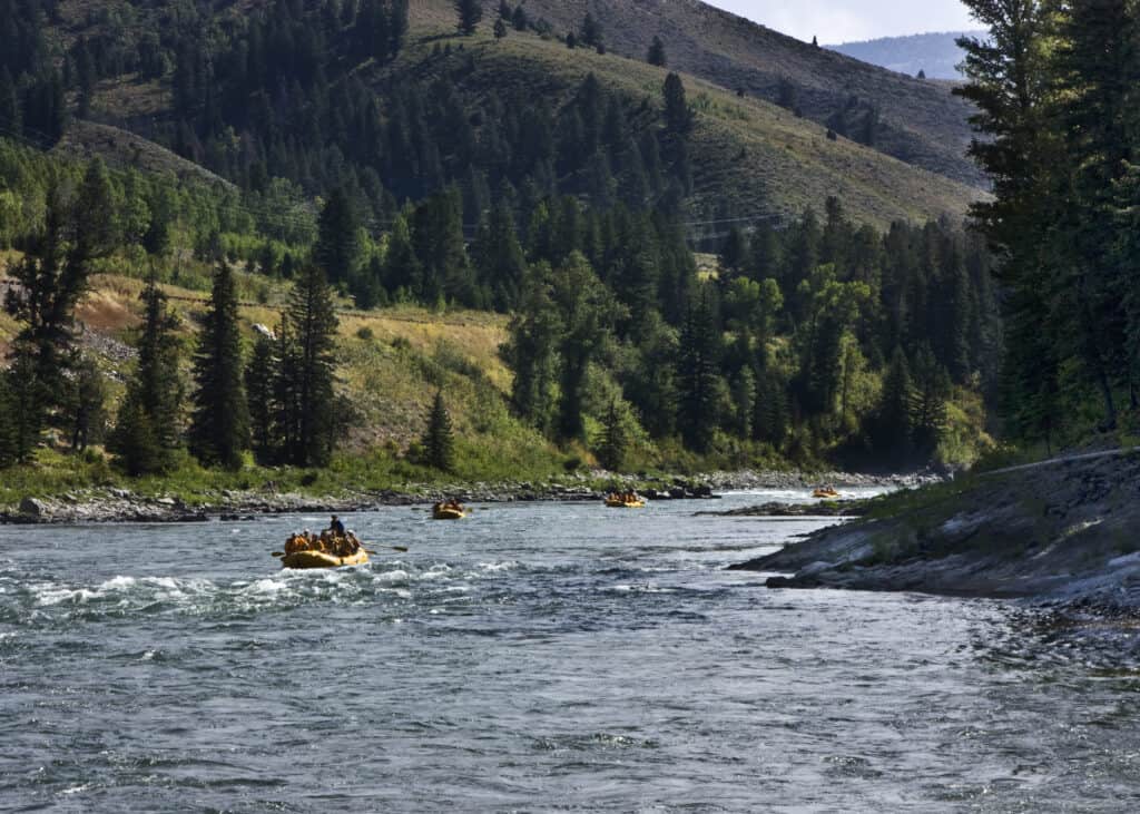Il fiume Snake nel Wyoming