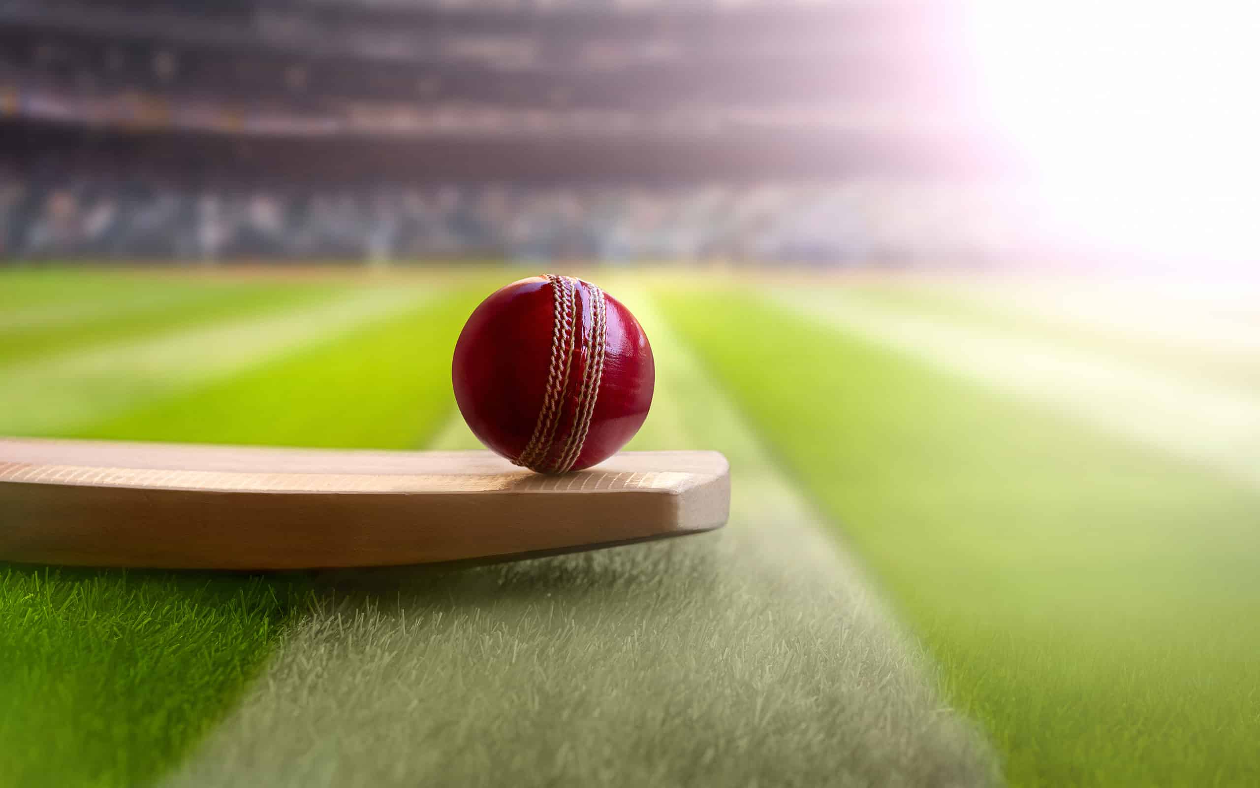 Cricket
