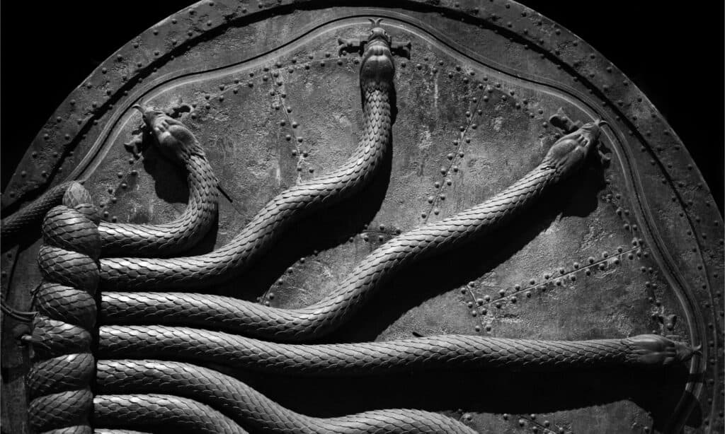 famosi serpenti