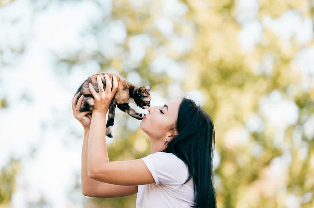 la bella ragazza si siede lateralmente e bacia il gattino tra le mani. Il piccolo gatto non dà alla sua padrona un bacio