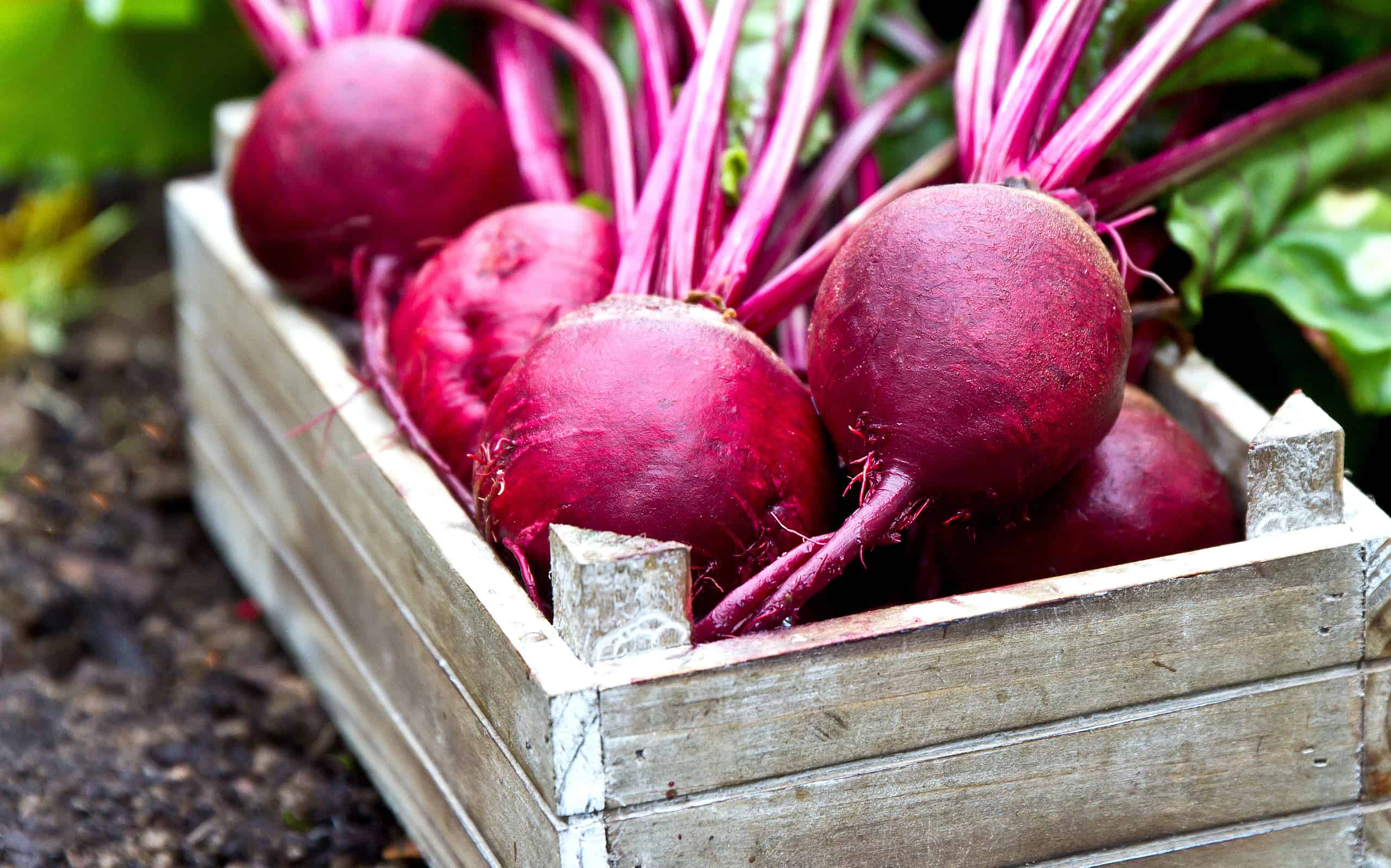 Barbabietole fresche in vassoio di legno. Barbabietola con foglie.
