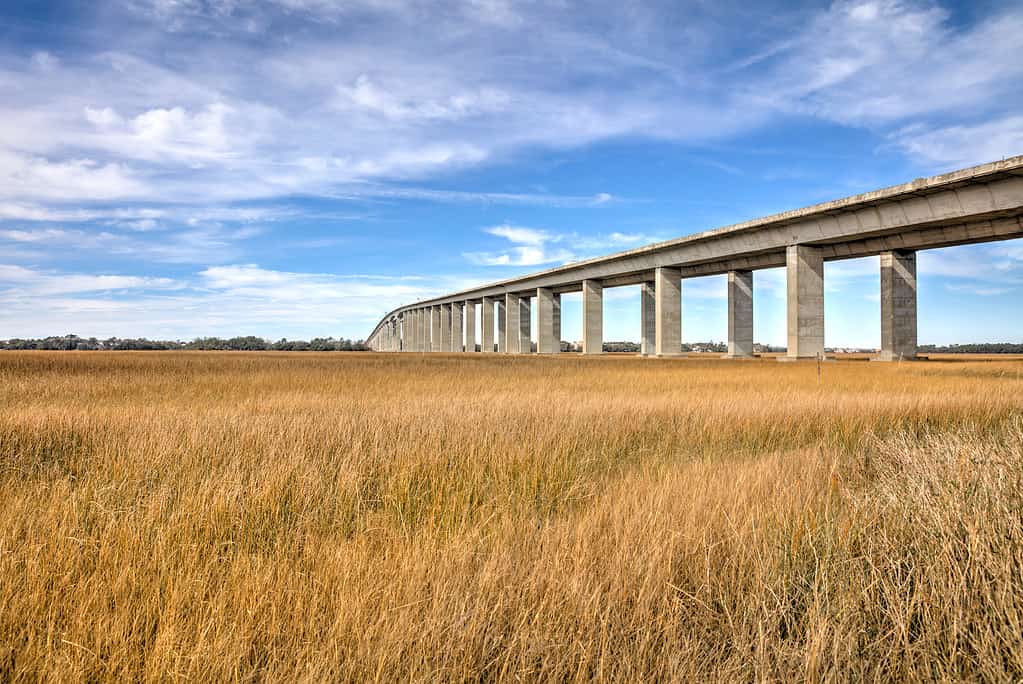 Ponte James B. Edwards