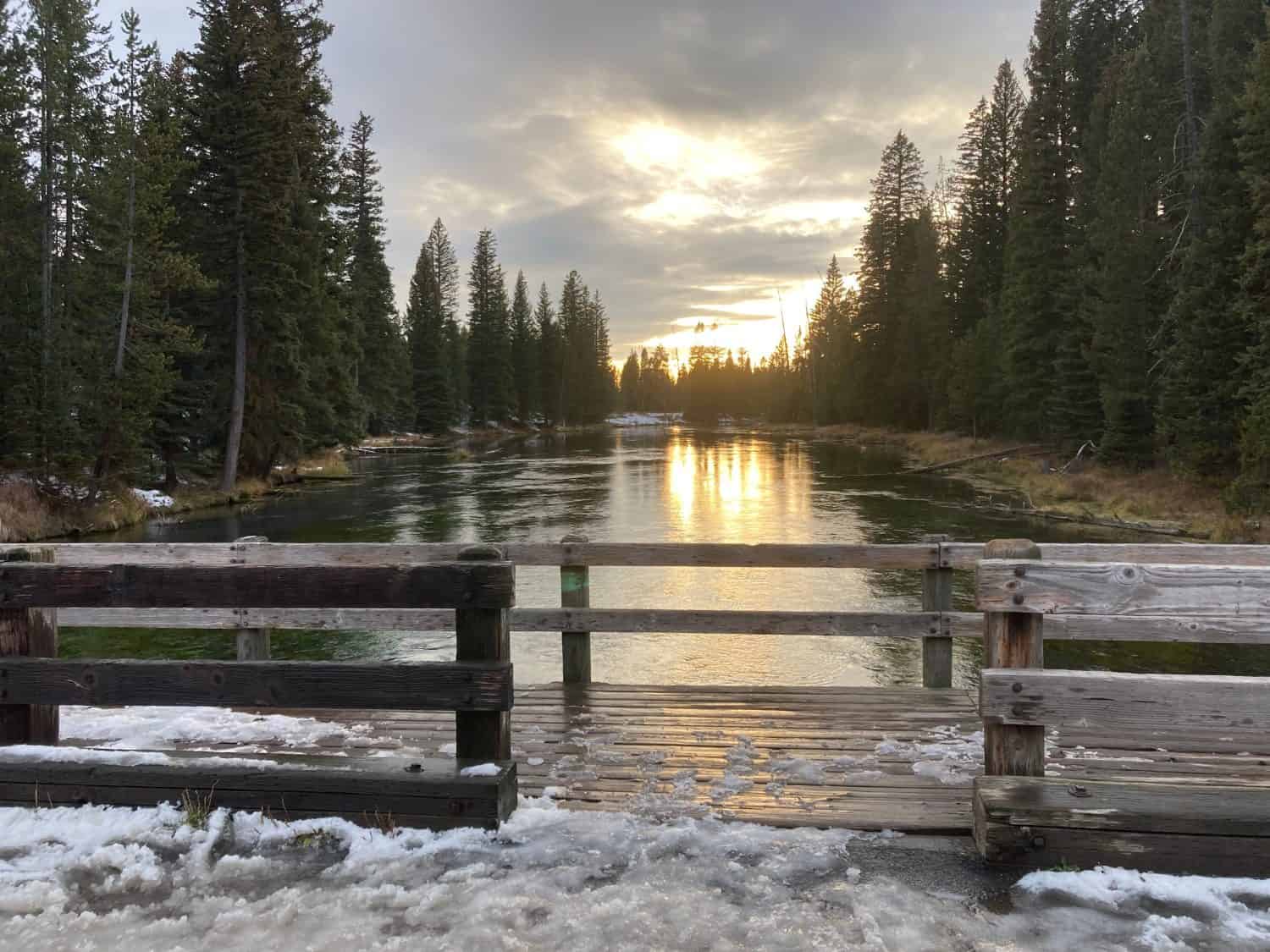 L'avventura nel parco dell'isola ha visto alci e trote enormi! Il mio cane Bruiser è venuto con me per l'avventura!