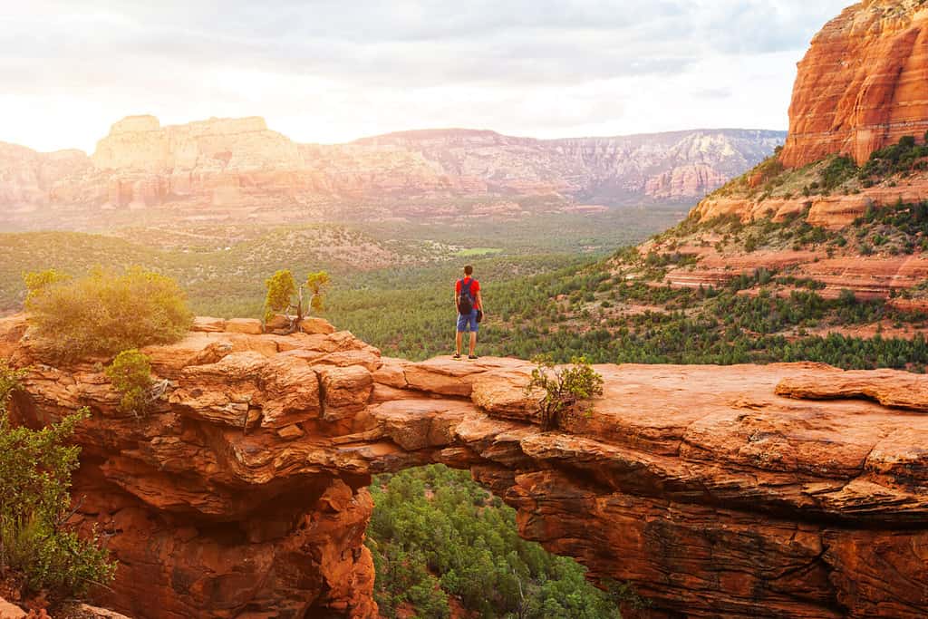 Viaggio nel Devil's Bridge Trail, uomo Escursionista con zaino godendo della vista, Sedona, Arizona, Stati Uniti