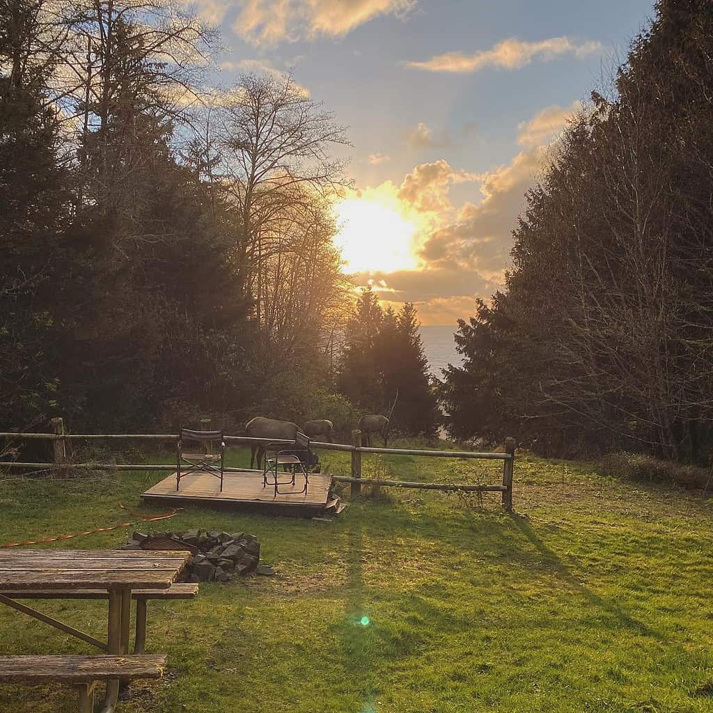 Luoghi sulla costa dell'Oregon che mi hanno cambiato la vita