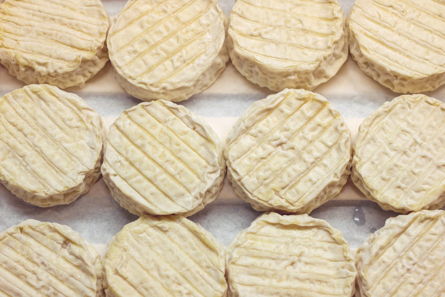Vista dall'alto del formaggio paraldon o pélardon in una scatola. Cucina gourmet francese.