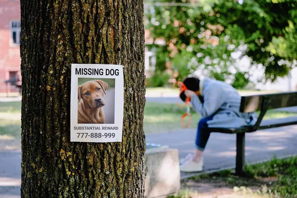 C'è un avviso di cane scomparso su un albero. sullo sfondo, il proprietario di un cane affranto piange seduto su una panchina.
