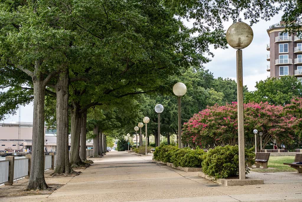 Sentiero alberato lungo il Riverwalk Anacostia nel sud-ovest DC