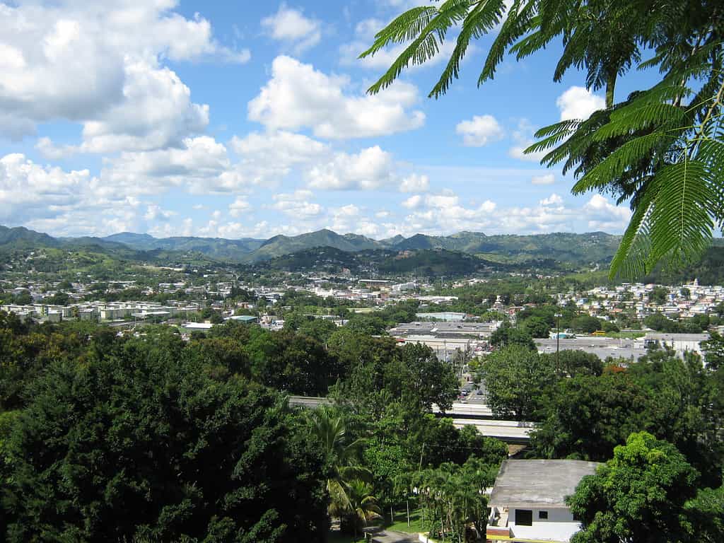 Cayey, Porto Rico