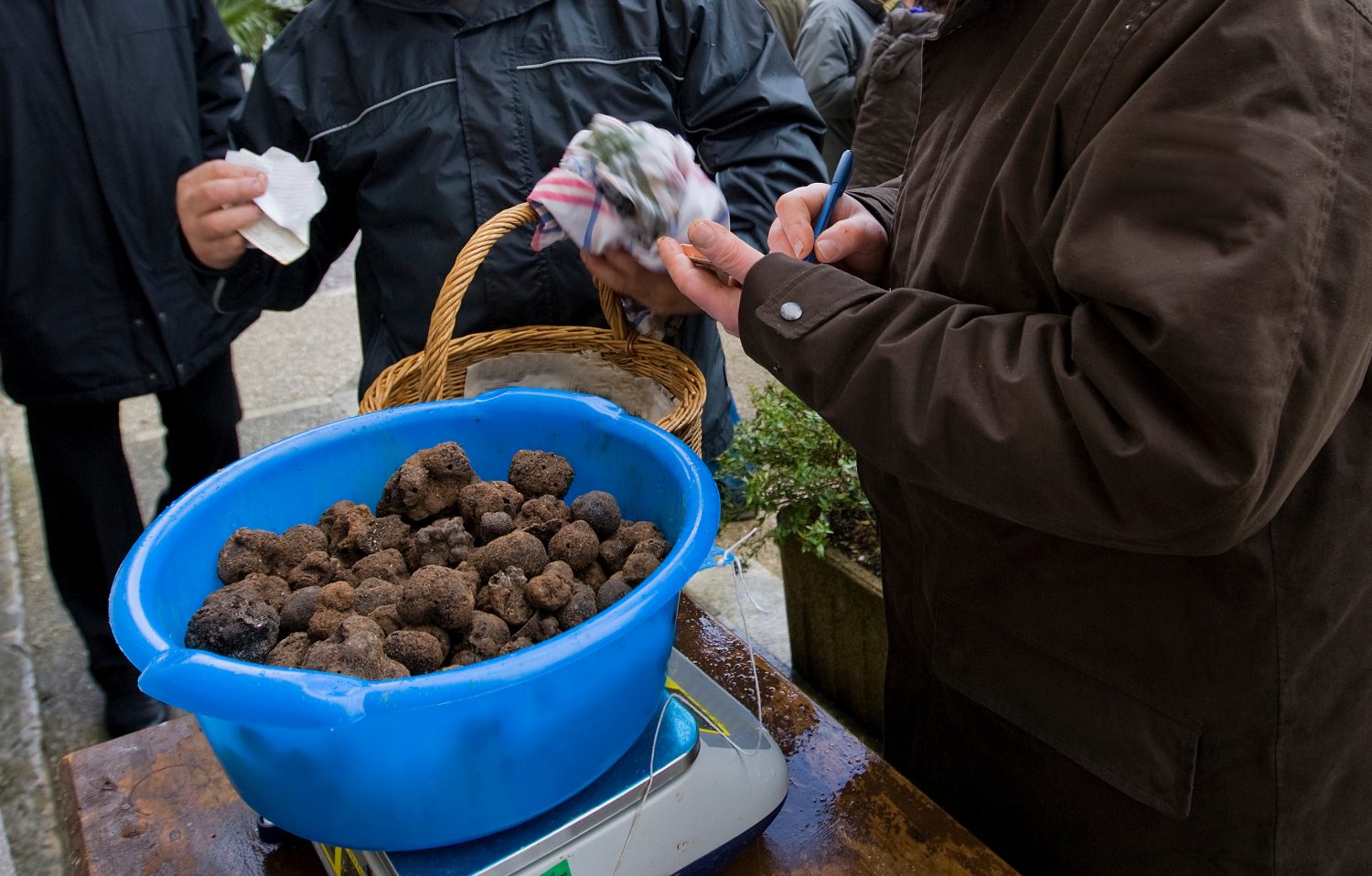 Tradizionale mercato del tartufo nero a Lalbenque, Francia