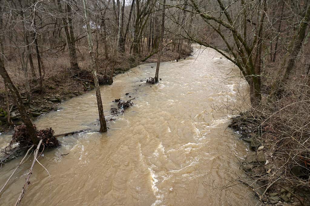colori che rappresentano l'ansia
