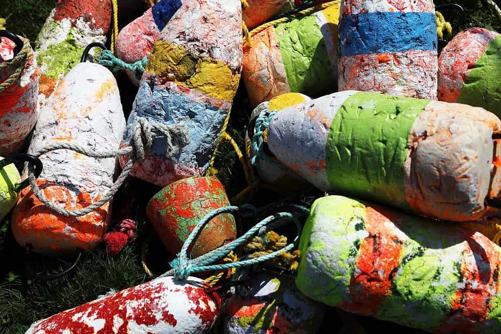 Boe colorate al mercato delle pulci di Brimfield, MA