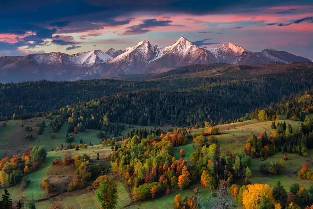 Bellissimo autunno con alberi rossi e gialli sotto i Monti Tatra all'alba. Slovacchia
