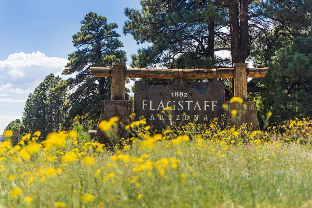 Segno della città ai limiti della città di Flagstaff, Arizona