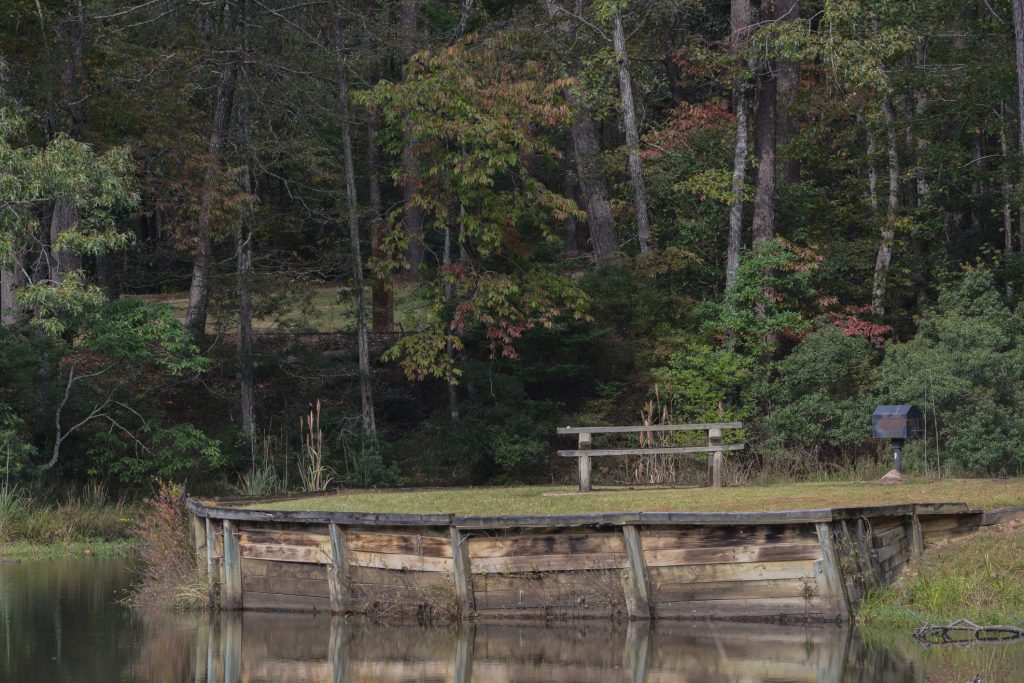 Rilassante area picnic presso l'area ricreativa della foresta nazionale di Homochitta a Natchez, Mississippi