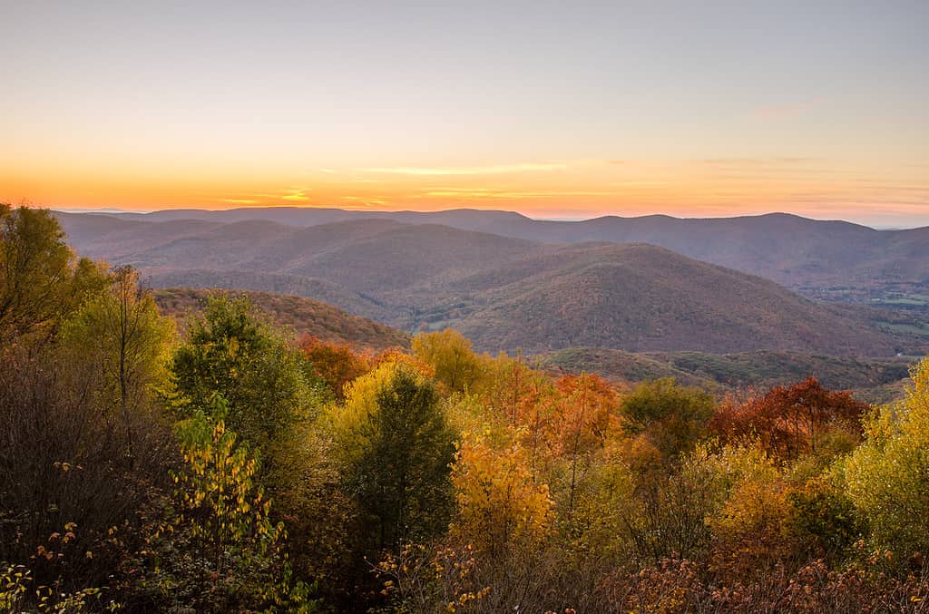 Mount Greylock è uno dei luoghi più iconici dei Berkshire ed è una visita imperdibile per ogni appassionato di attività all'aria aperta.