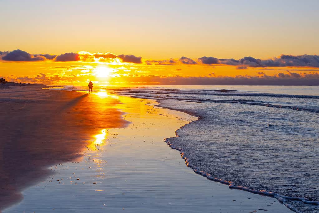 Spiaggia a piedi all'alba-Hilton Head Island,SC