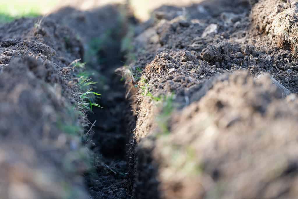 Scavare una trincea.  Lavori di sterro e scavo di trincee.  Una lunga trincea di terra viene scavata per la posa di tubi o fibre ottiche