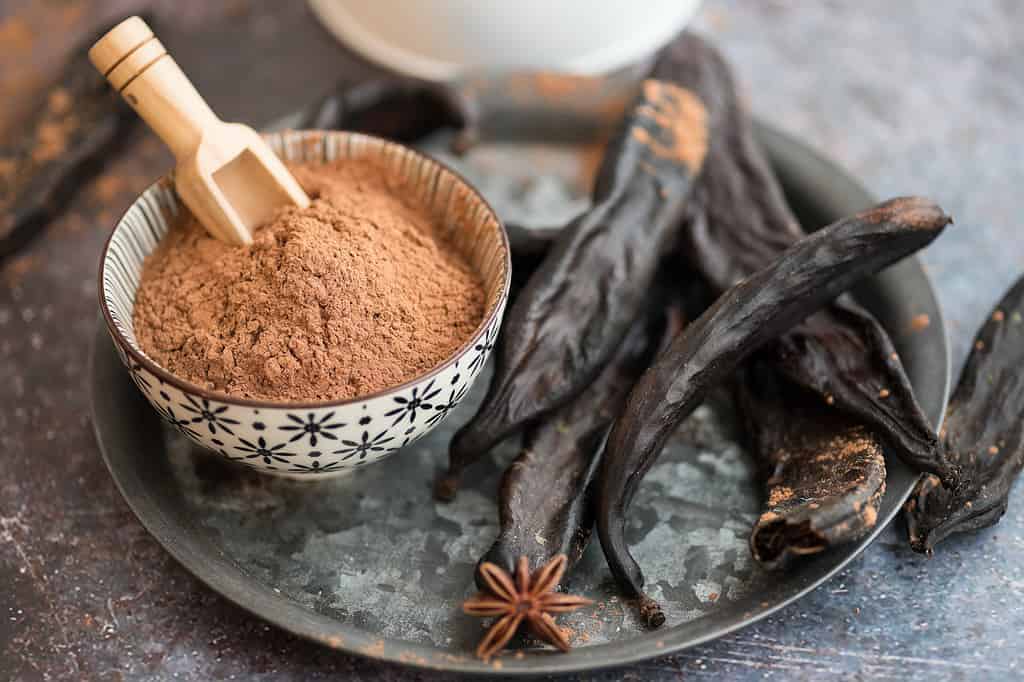 Polvere e baccelli di carruba