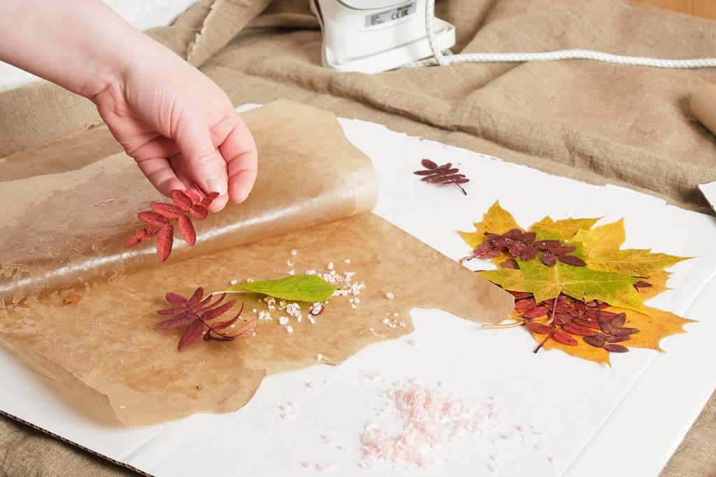 colori che rappresentano la creatività