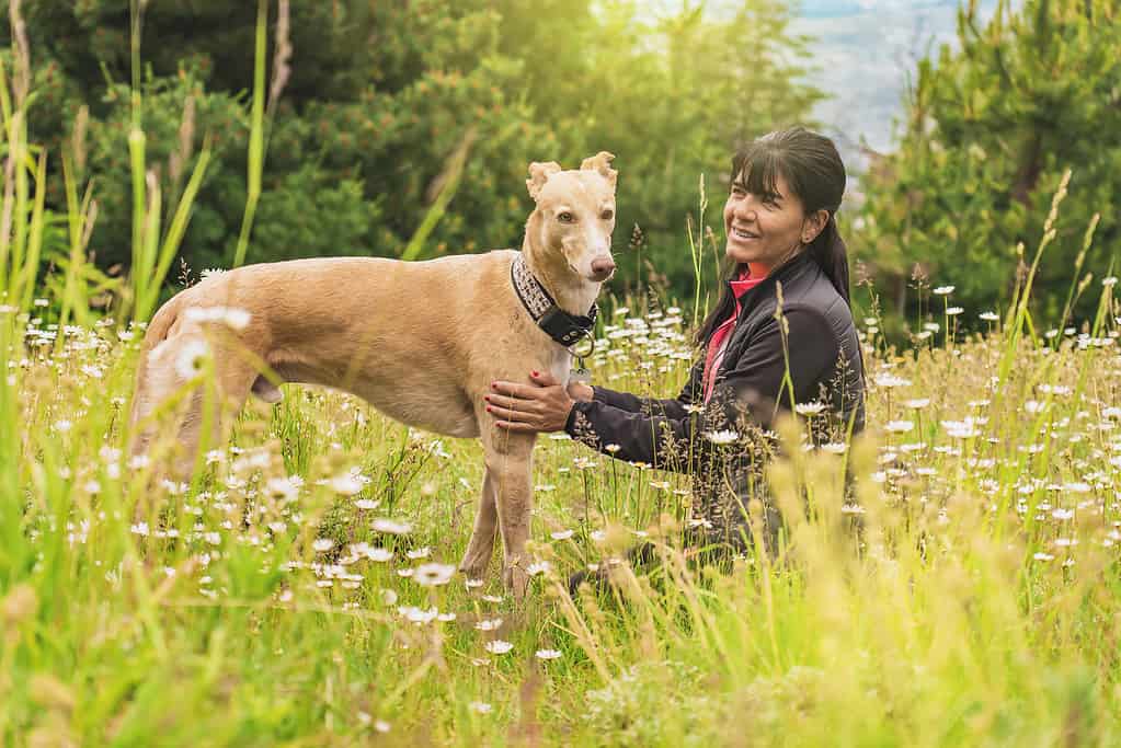 Bella donna seduta che contempla il suo cane amorevolmente salvato.