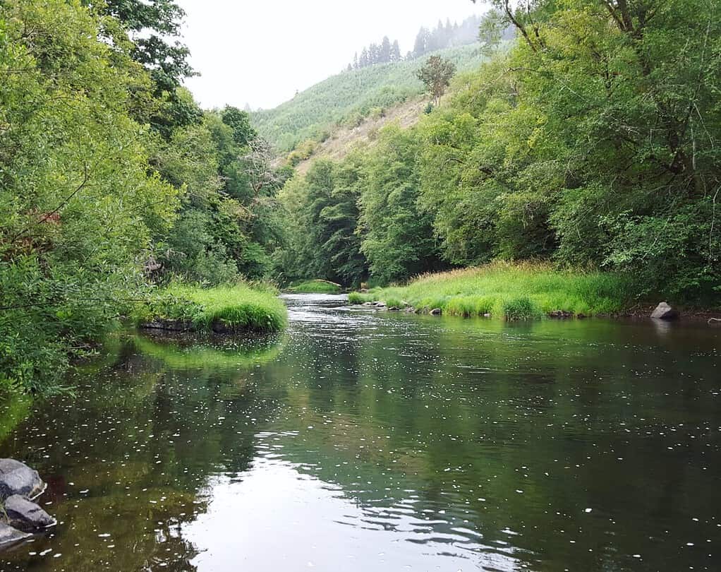 River Edge è un campeggio per gruppi situato sulle rive del fiume Alsea. Campeggio River Edge Group ad Alsea, Oregon, Stati Uniti