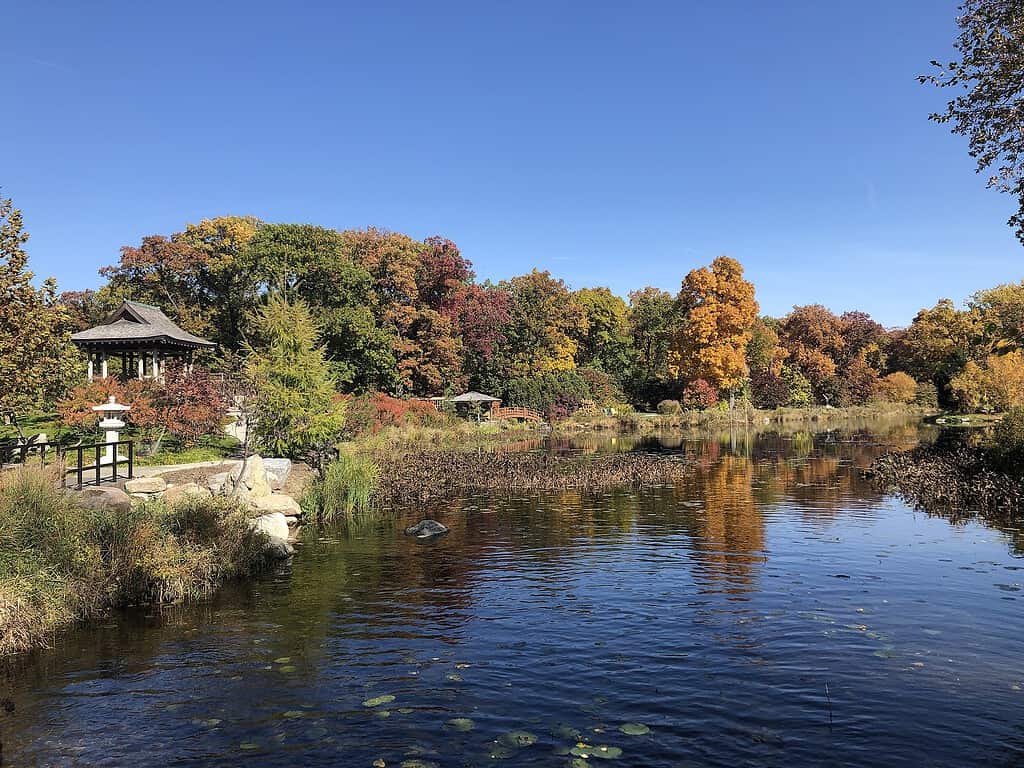 Giardino botanico di Wellfield a Elkhart, Indiana.
