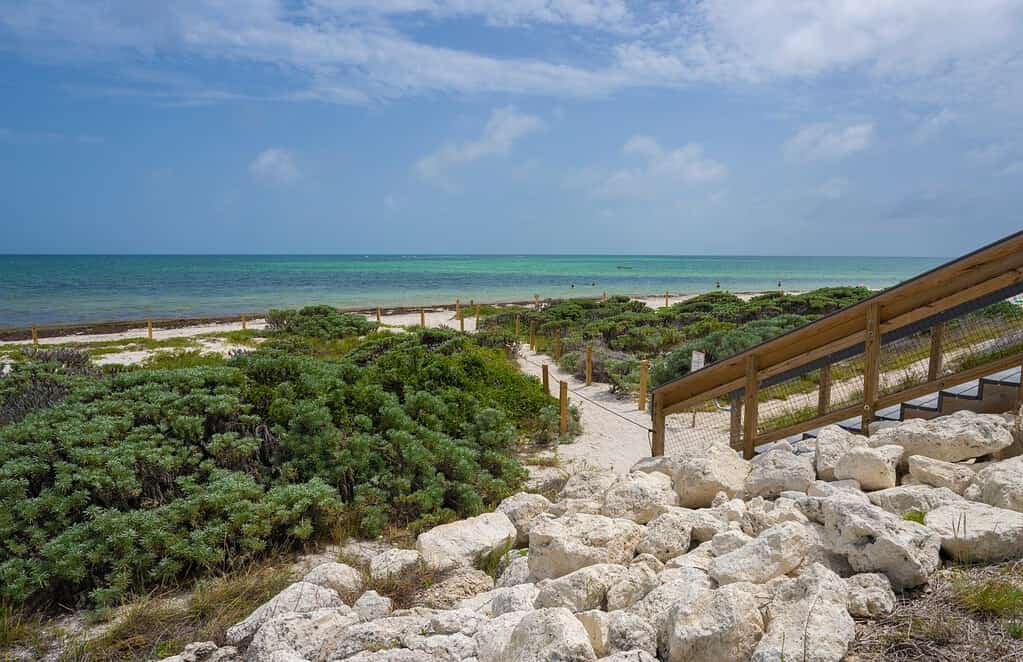 Bellissima spiaggia della Florida.  Sentiero che conduce alla spiaggia.  Bahia Honda State Park, Florida Keys, Bahia Honda Key, Florida, Stati Uniti.