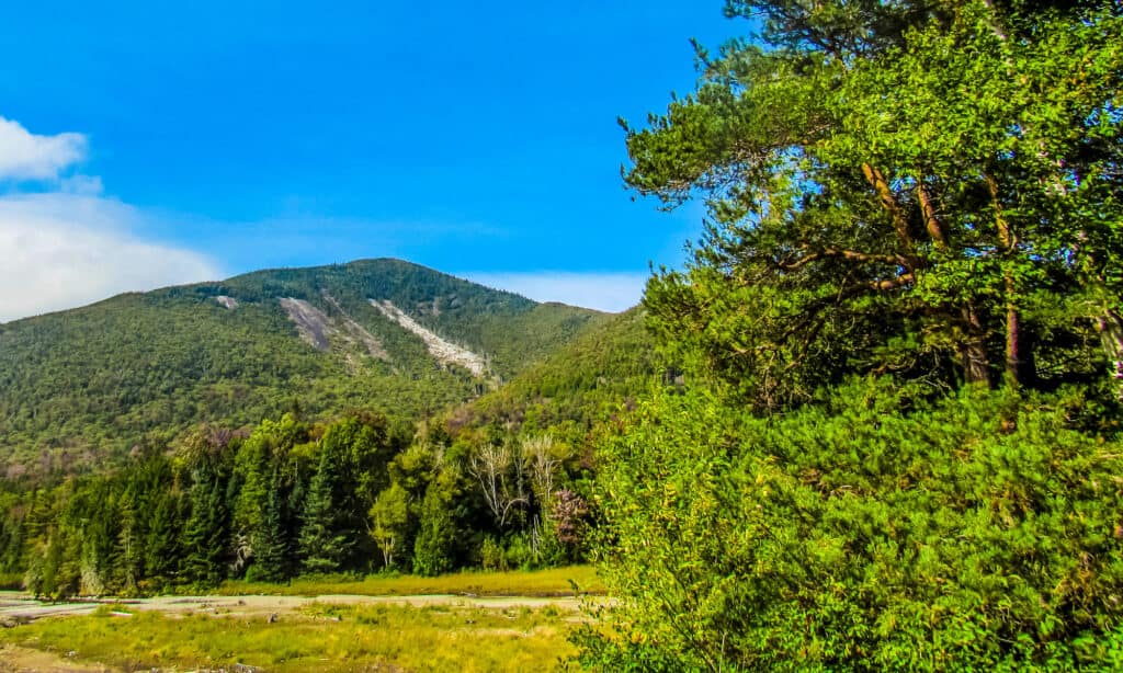 Monte Marcy