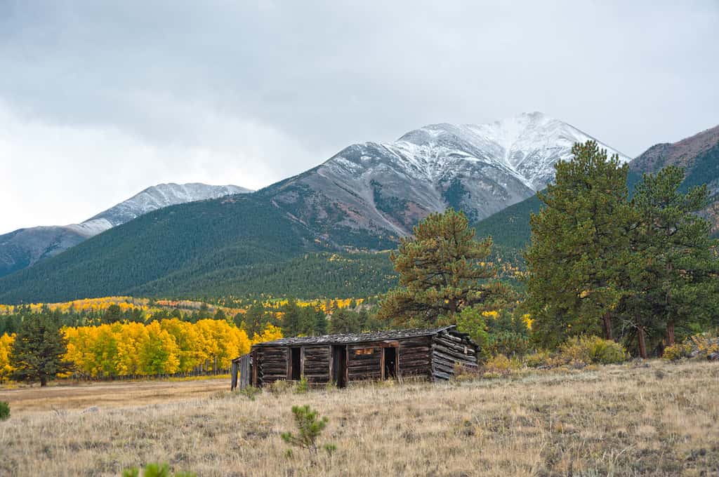 Il monte Princeton, vicino a Buena Vista, in Colorado, è ricoperto dallo splendore dei colori autunnali. Ecco la capanna di un vecchio minatore che si affaccia su un enorme boschetto di pioppi tremuli.