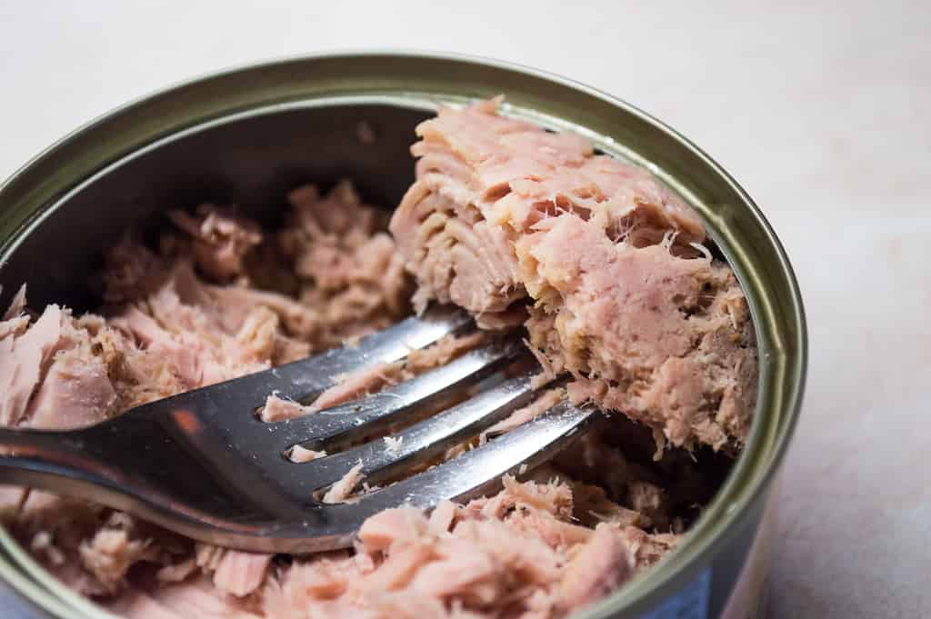 Tonno in scatola con forchetta