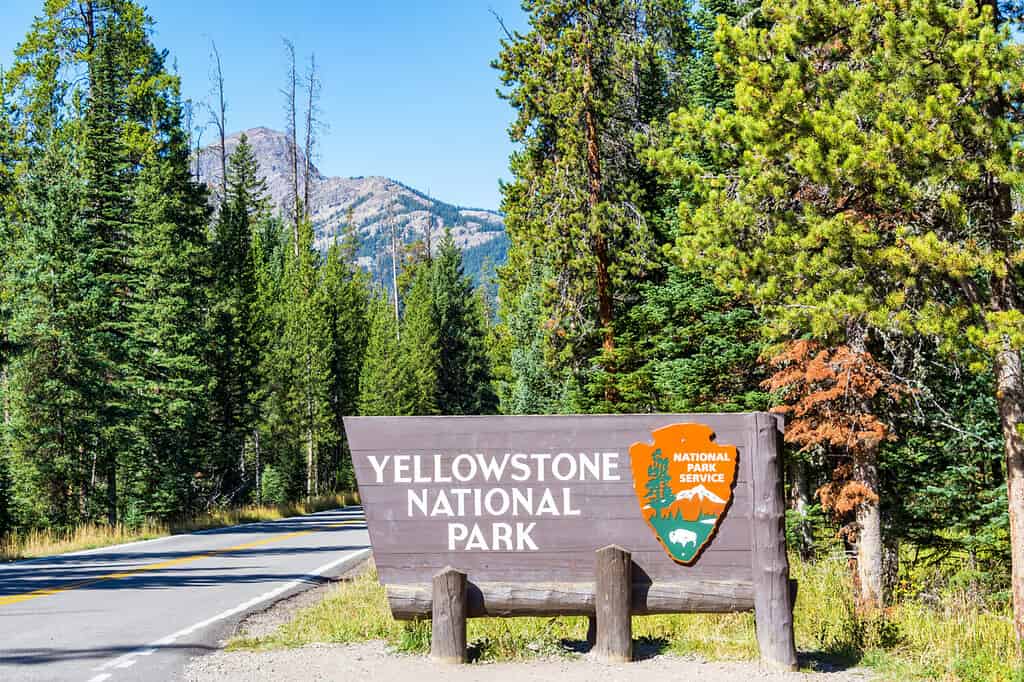 Veduta dell'ingresso al Parco Nazionale di Yellowstone