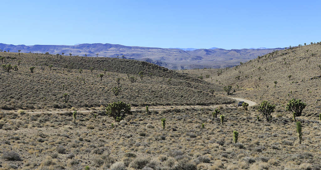 Lee Flat, Valle della Morte