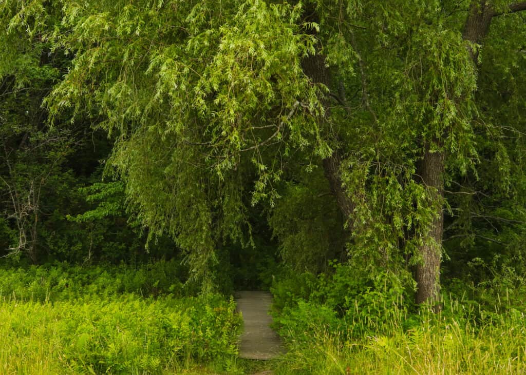 Centro Audubon della fattoria Gilsland