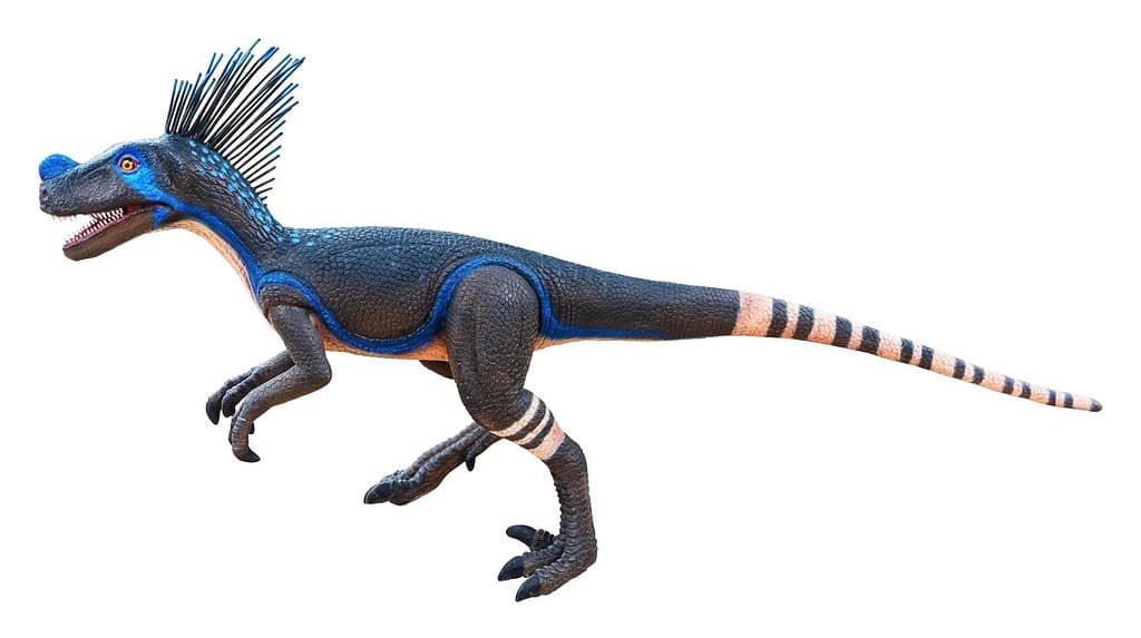 Ornitholestes è un piccolo dinosauro teropode del tardo Giurassico, Ornitholestes isolato su sfondo bianco con tracciato di ritaglio