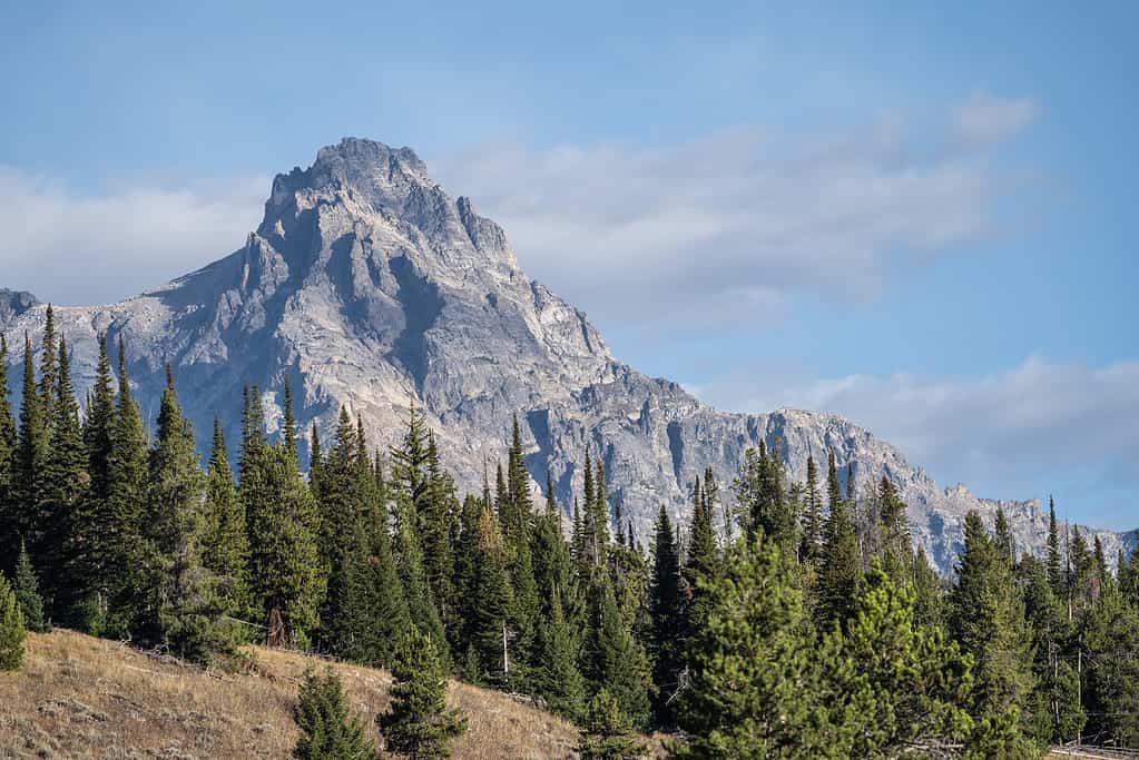 Catena montuosa del Teton in autunno