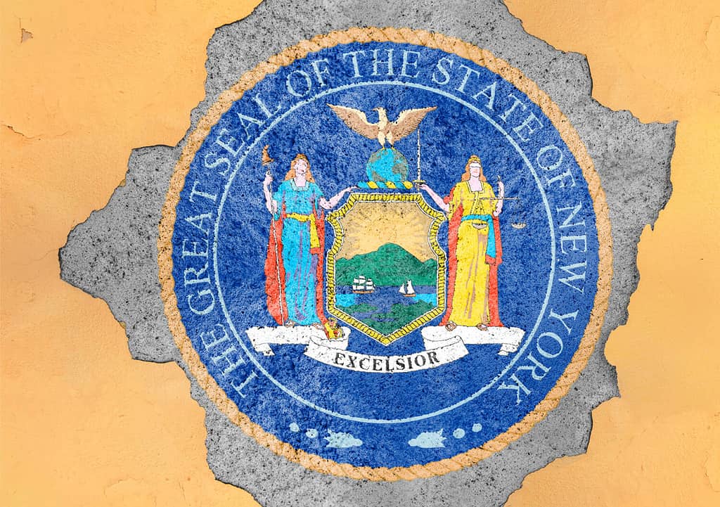 Bandiera del sigillo dello stato americano di New York nella grande struttura della facciata con foro di cemento rotto